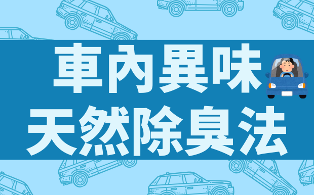 車內異味好難聞？最有效的5種天然除臭法一次看