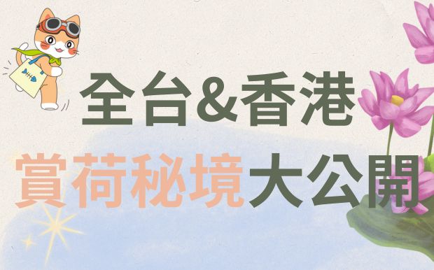 夏日限定！全台&香港賞荷秘境大公開：花季、美拍、客製禮品一次Get！