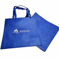 賽馬會齡活城市計劃