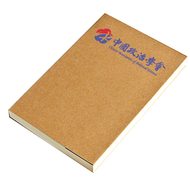 中國政治學會