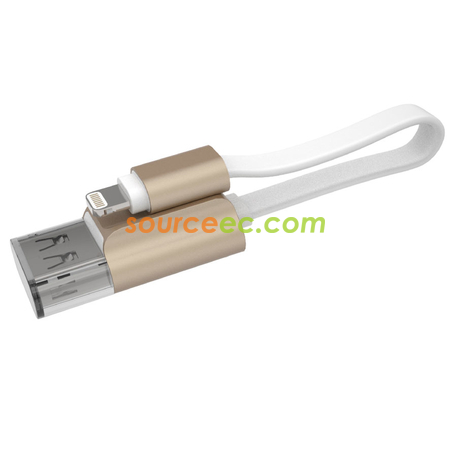 客製化iShowCable 隨身碟禮品