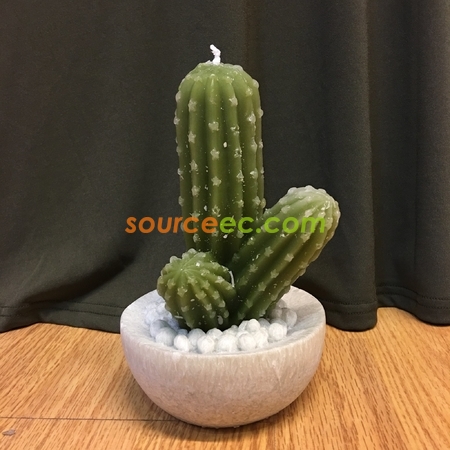 客製化仙人掌蠟燭禮品