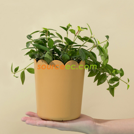 客製化花瓣口花盆禮品