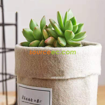 客製化毛氈花盆禮品