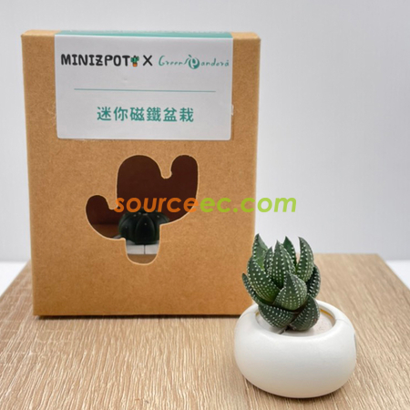 客製化 客製品-迷你磁鐵盆栽(白)禮品