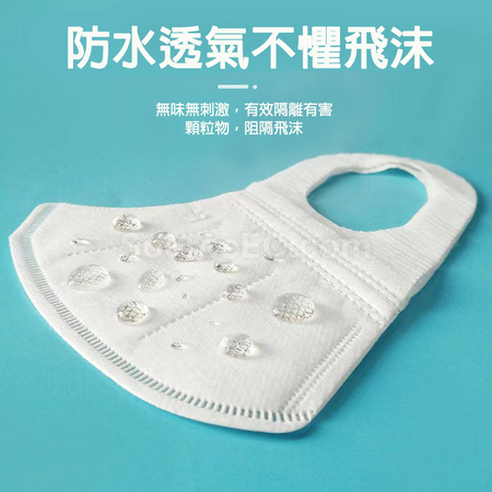 客製化大碼3D成人口罩禮品
