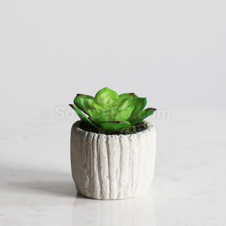 客製化仿真綠植禮品