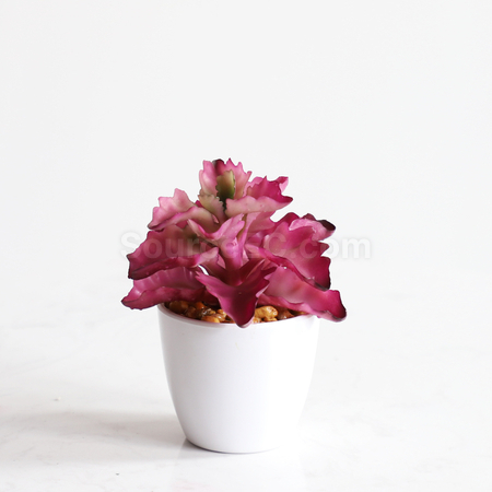 客製化仿真綠植禮品