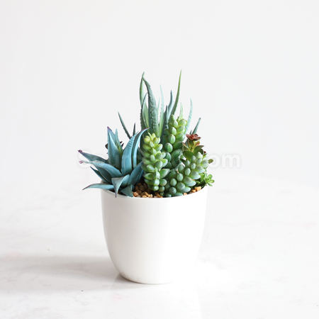 客製化仿真綠植禮品