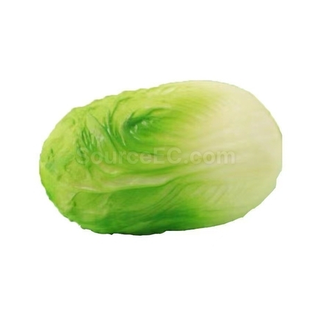 客製化仿真蔬菜減壓玩具禮品