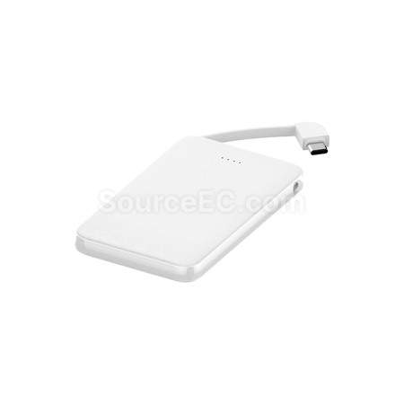 客製化10000mAh雙線快充移動電源禮品