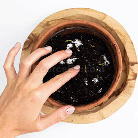 客製化種子紙扇禮品