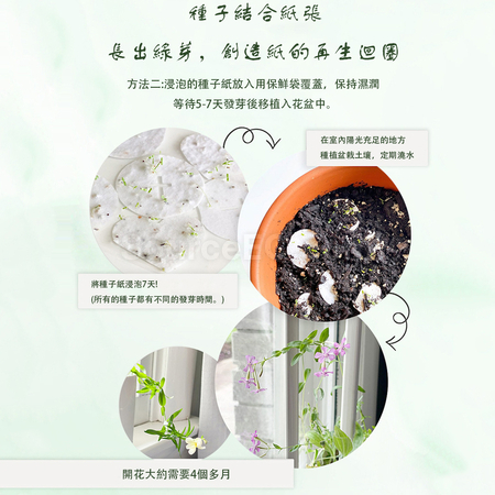 客製化種子紙杯套禮品