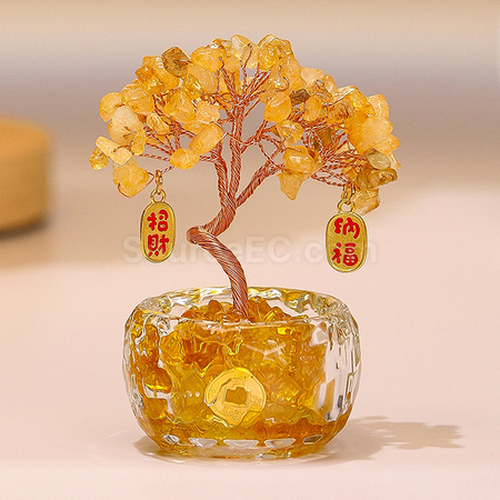 迷你盆景水晶發財樹