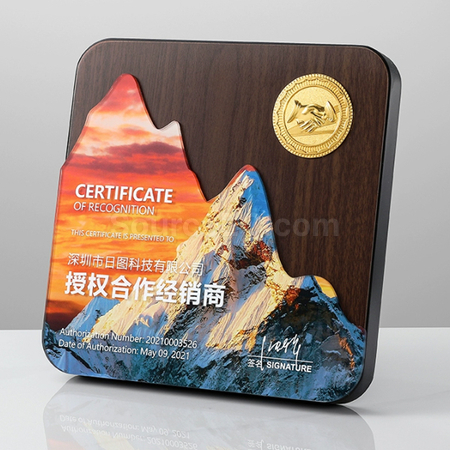 客製化仿木獎牌 禮品