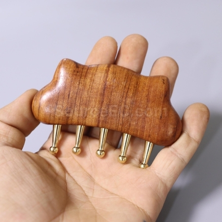 客製化小貓五齒黃銅經絡木梳禮品