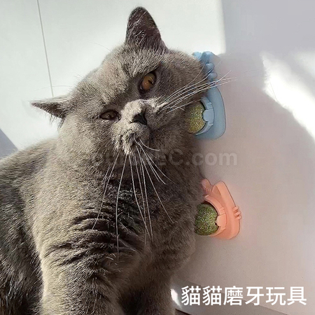 客製化貓咪貓薄荷旋轉球禮品