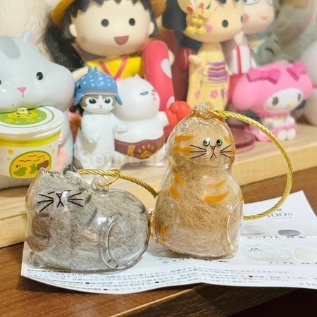 客製化可愛小貓透明毛髮收納盒禮品