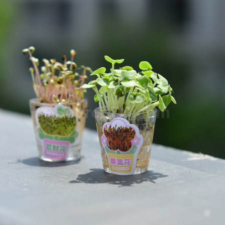 客製化種草筆禮品