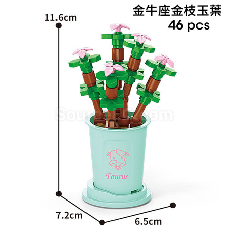 客製化咖啡杯植物系列積木-12星座多肉植物系列禮品