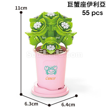 客製化咖啡杯植物系列積木-12星座多肉植物系列禮品