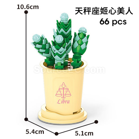 客製化咖啡杯植物系列積木-12星座多肉植物系列禮品