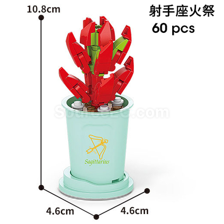 客製化咖啡杯植物系列積木-12星座多肉植物系列禮品