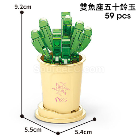 客製化咖啡杯植物系列積木-12星座多肉植物系列禮品