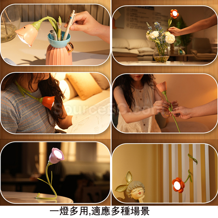 客製化花朵檯燈擺件禮品