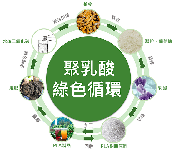 wheatstraw_tableware_pla