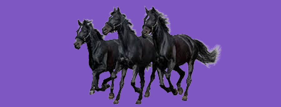 dark_horse_for_stationery_market