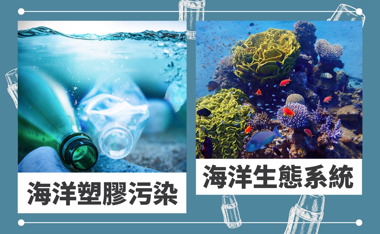 水壺比較