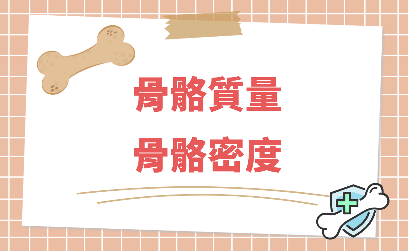 骨骼質量