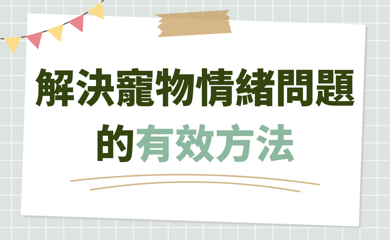 解決寵物情緒問題的有效方法