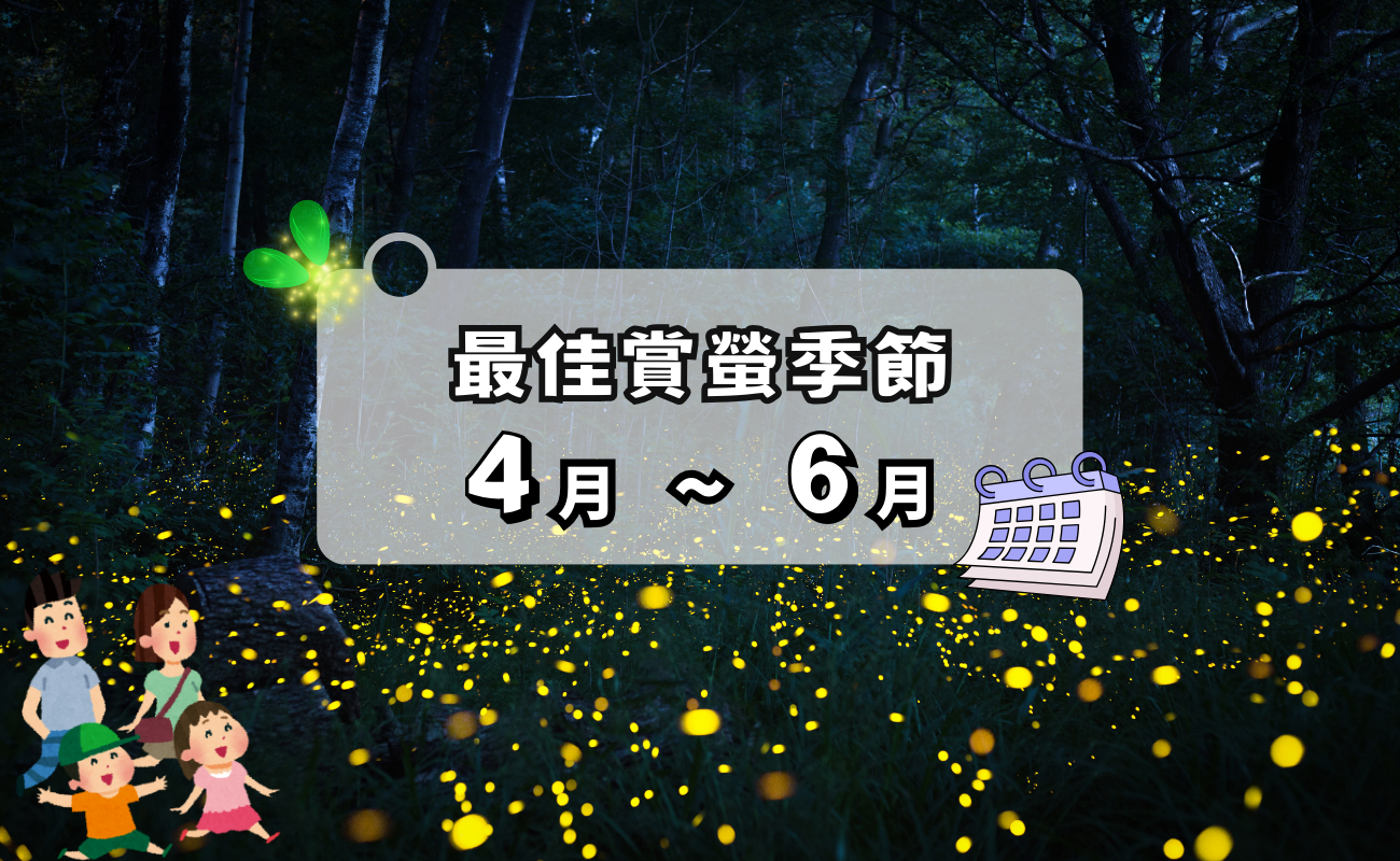 最佳賞螢季節