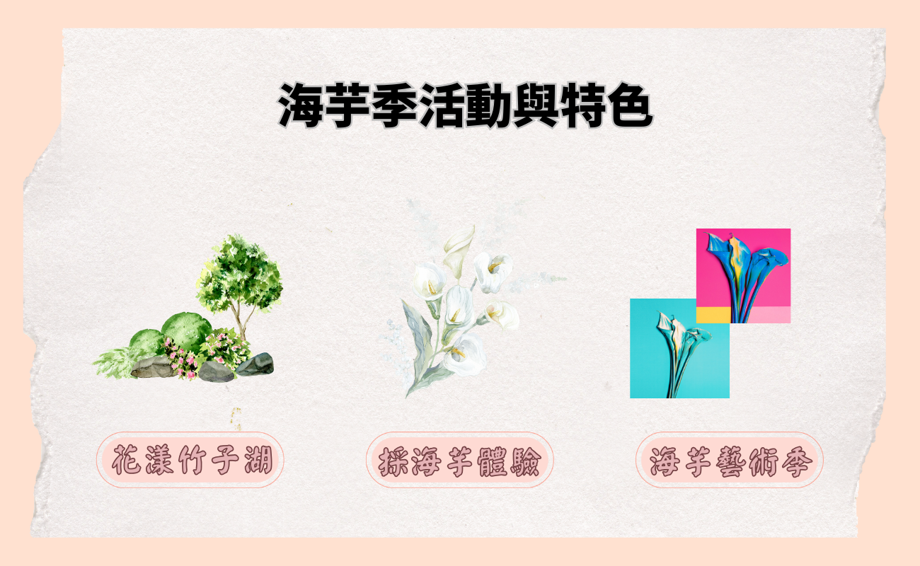 海芋季