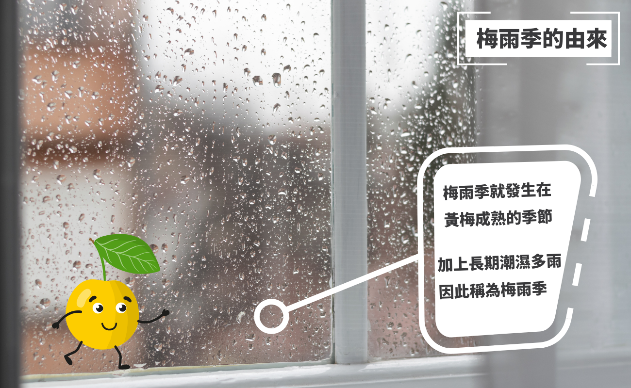 梅雨季的由來
