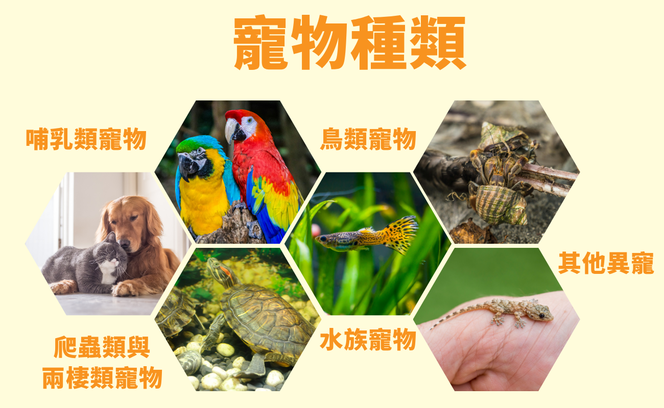寵物客製化禮品, 狗狗禮品, 貓咪禮品, 爬蟲類禮品, 客製化禮物