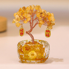 迷你盆景水晶發財樹